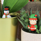 *Plantfigurer Jul