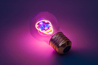 *Sladdlös glödlampa Calavera Dödskalle