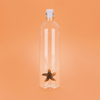 Flaska Atlantis, Sjöstjärna 1,2l, Borosilikatglas