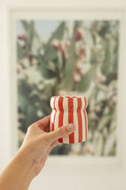 Cabana  Red striped Ceramic Candle - Hibiscus Bay Boxed