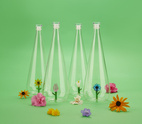 Flaska Botanical Solros 1,0l, Borosilikatglas