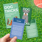 Hund Tricks Kort Pack