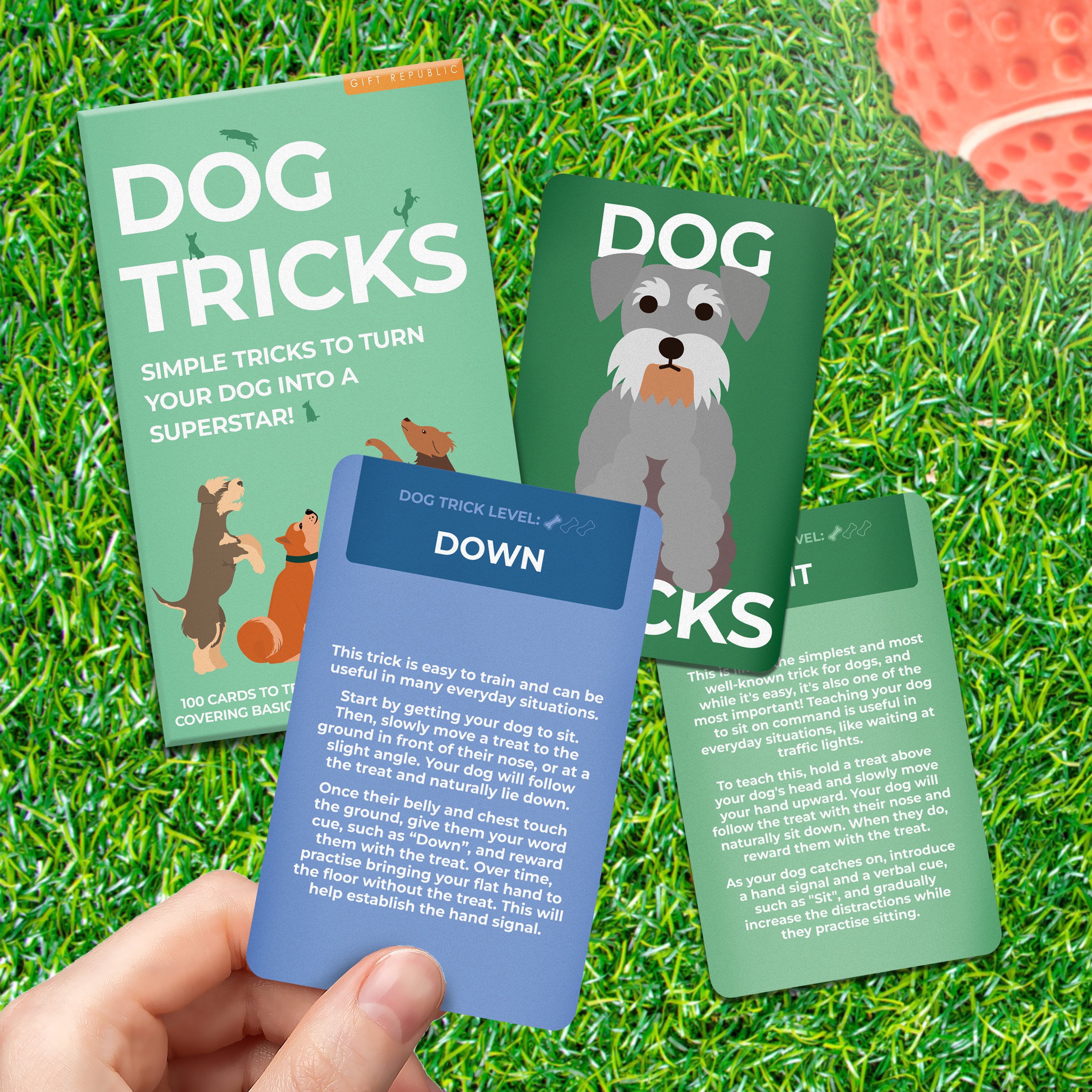 Hund Tricks Kort Pack