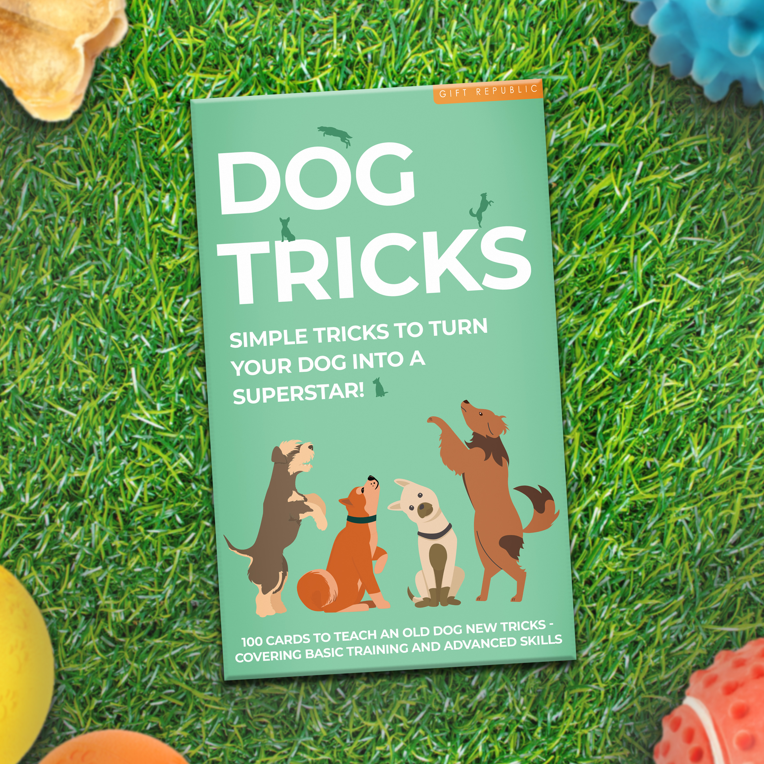 Hund Tricks Kort Pack