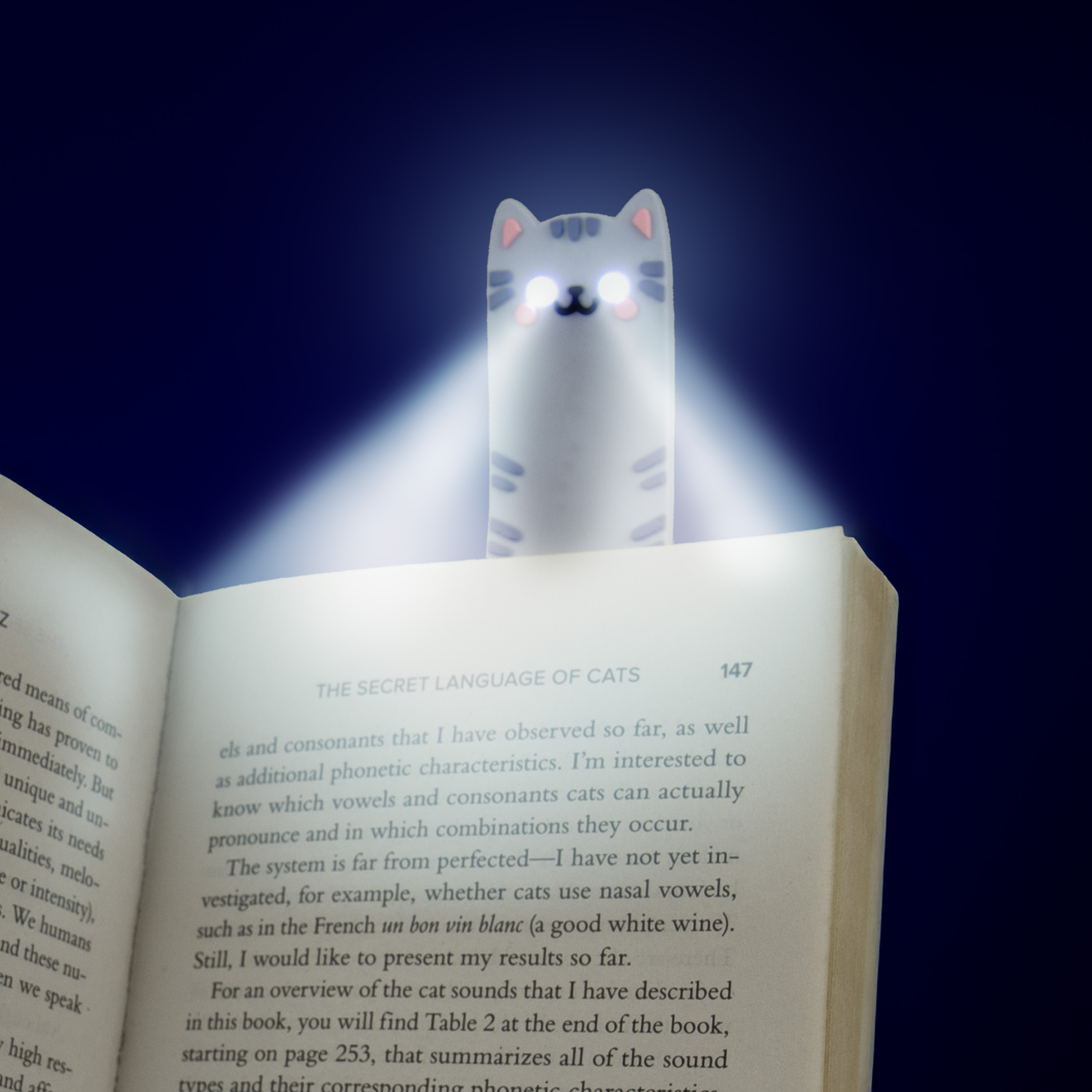 Boklampa Katt
