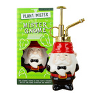 Växt Mister Gnome