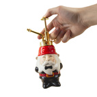 Växt Mister Gnome
