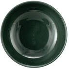 Seltmann Breakfast Bowl Terra Moss Green 15 cm 4-pack