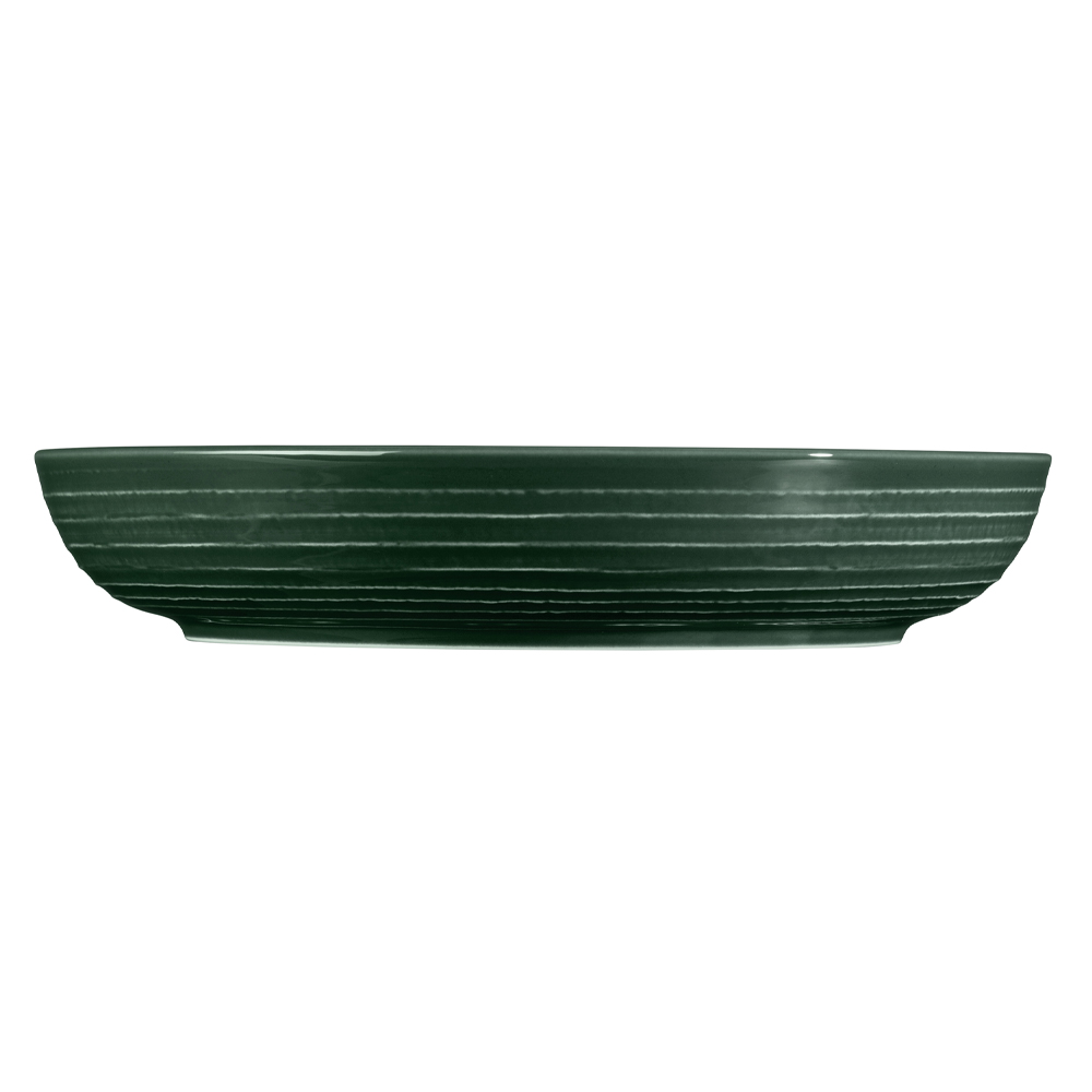 Seltmann Djup TallrikTerra Mossgrön 28 cm 2-pack