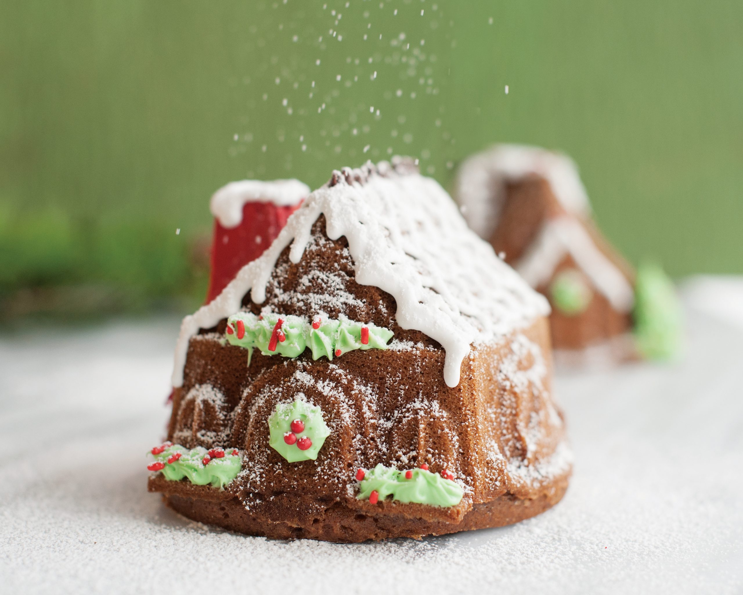 Nordic Ware Gingerbread House Duet Pan