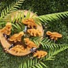 *Nordic Ware Dinosaur Cakelet Pan