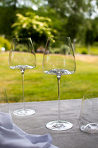 Zieher Wine Glass Vision Intense 2-pack