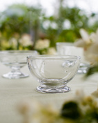 La Rochère Glass Bowl Abeille, 6 pcs
