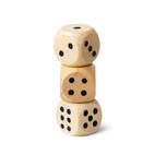 *Backgammon & Dam ColorPop