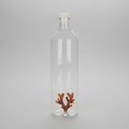 Flaska Atlantis Korall 1,2l