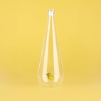 Bottle of Botanical Lemon 1,0l, Borosilicate Glass