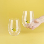 Drinking Glass Botanical, Lemon, Set of 2