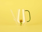 Vattenkanna Botanical, Solros 1,0l