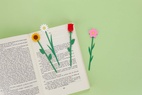 Bokmärke Blomma, Prästkrage, Vit