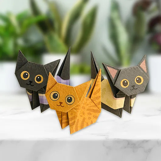Origami Katter