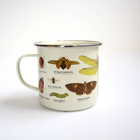 Emaljmugg Insekter