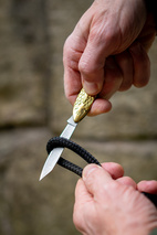 Fickkniv Fisk