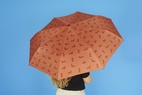 Paraply Tax, Brun