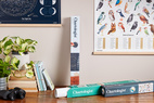 *SALE Poster Garden Birds