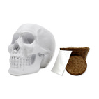 *SALE Skull planter Grow Kit Cactus