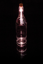 *Bottle Light Fiber