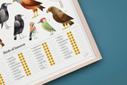 *SALE Poster Garden Birds