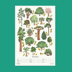 *REA Poster Trees of interest