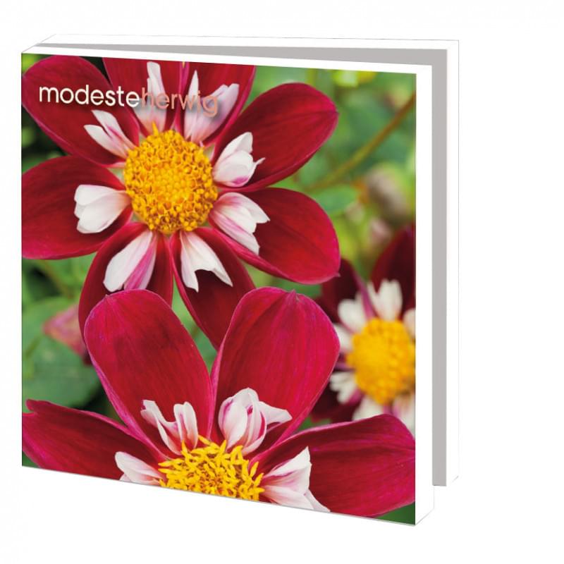 Card set Closeup Flowers