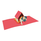 *Pop-Upkort Pug