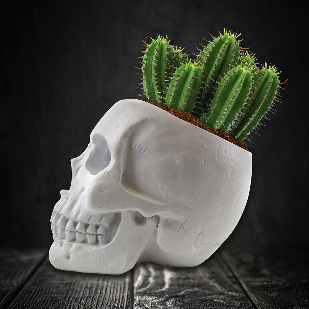 *SALE Skull planter Grow Kit Cactus